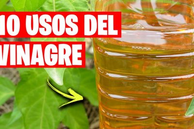 15 formas sorprendentes de utilizar vinagre en el cuidado de tu jardin y huerto