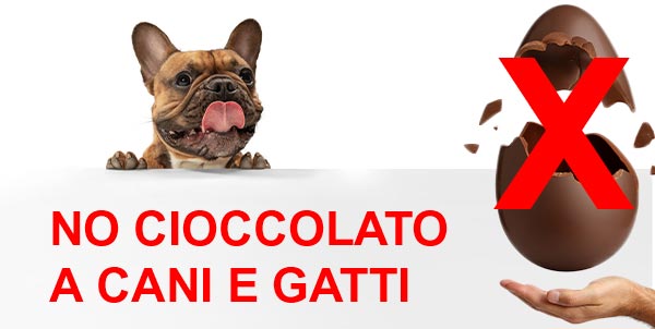 ¡advertencia canina! 21 alimentos que son tóxicos para tus amigos felinos y caninos 1 advertencia canina 21 alimentos que son toxicos para tus amigos felinos y caninos