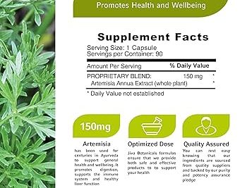 ajenjo descubre sus propiedades beneficios y usos para la salud y el bienestar