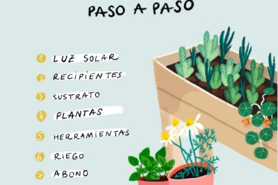 aprende a cultivar pimientos en maceta 6 pasos faciles para disfrutar de un jardin en un espacio reducido