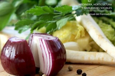 aprende los fundamentos del cultivo de lechugas aclareo y repicado para una cosecha exitosa
