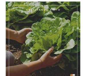 aprovecha el sol enriquecedor 26 vegetales para cultivar en sombra parcial