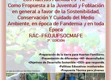clave para cosechar deliciosas alcachofas sembrar cuidar y recoger en el momento justo