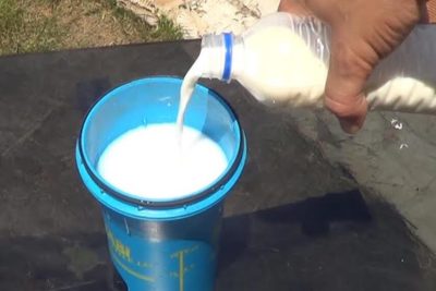 combate los hongos en tus plantas con un fungicida casero con leche y bicarbonato de sodio