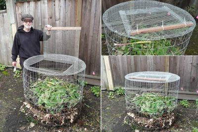 crea tu propia compostadora 10 proyectos faciles y sostenibles para tu jardin y cocina
