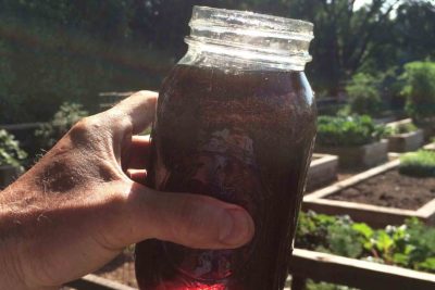 crea tu propio humus de lombriz liquido para un abono nutricional para tus plantas