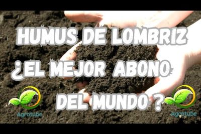 crea un abono natural con humus de lombriz un secreto para un jardin saludable