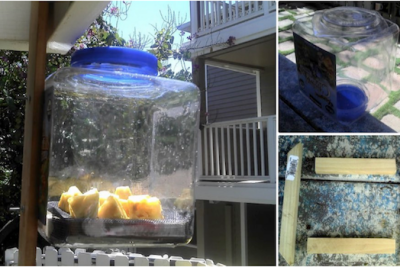 crea un deshidratador solar de alimentos autonomo con materiales reutilizados y sostenible