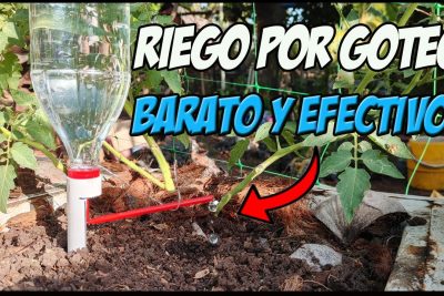 crea un sistema de riego eficiente y ecoamigable con botellas de plastico recicladas