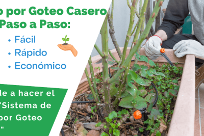 crea un sistema de riego por goteo casero barato y eficiente en minutos