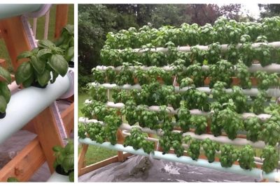 crea un sistema hidroponico casero eficiente para cultivar 168 plantas con este tutorial facil