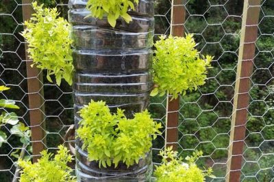 crea una jardinera sostenible descubre como hacer un riego por capilaridad facil y eficaz