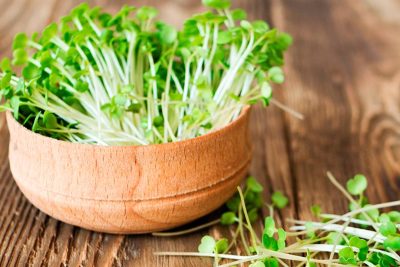 cultiva tus propios brotes de chia en casa con facilidad y disfruta de sus beneficios saludables