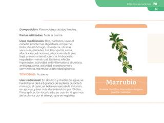 desbloquea los beneficios del marrubio propiedades y usos para el bienestar y la salud