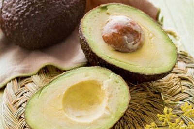 descubre como plantar un aguacate a partir de su hueso un proceso facil y natural