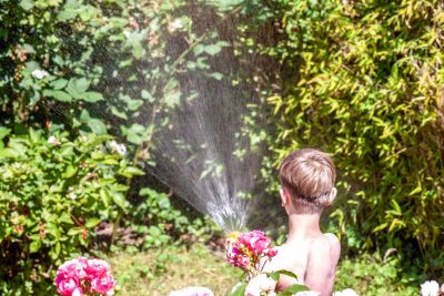 descubre la verdad sobre si regar las plantas al sol puede danar sus hojas