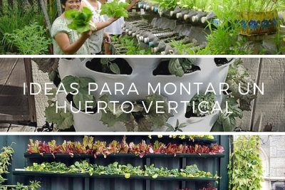 descubre las ideas mas creativas para montar un huerto vertical sin suelo y cultiva en cualquier espacio