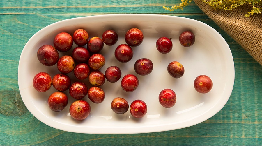 Descubre las propiedades y beneficios del camu camu, la fruta más rica en vitamina C del mundo 1 descubre las propiedades y beneficios del camu camu la fruta mas rica en vitamina c del mundo