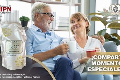 descubre las propiedades y beneficios del cardo corredor para una salud mas equilibrada
