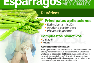 descubre las propiedades y beneficios del puerro y que precauciones tomar