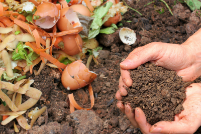 descubre los beneficios y aplicacion del te de compost para un jardin mas saludable
