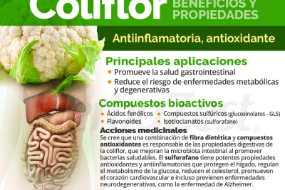 descubre los beneficios y propiedades saludables de la nutritious coliflor