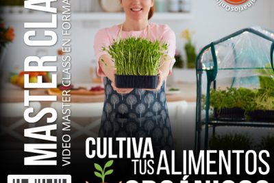 descubre los secretos para cultivar puerros deliciosos y frescos en tu propio huerto