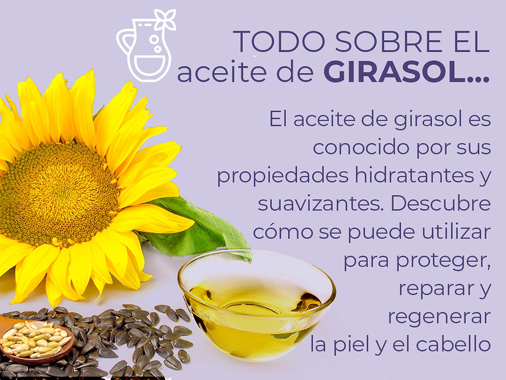 El aceite de girasol: beneficios y propiedades para la salud y belleza 1 el aceite de girasol beneficios y propiedades para la salud y belleza