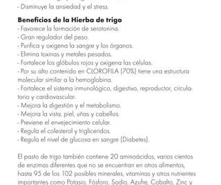 el secreto para eliminar el gusano del tomate con el poder del jengibre y la lecitina
