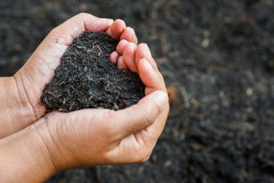 es el compostaje humano la forma mas ecologica de honrar a los muertos