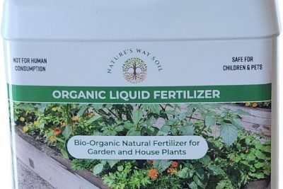 fertiliza de manera ecologica descubre los fertilizantes caseros para un huerto prospero