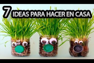 germinar pistachos en casa un experimento divertido y facil de seguir