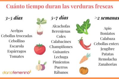 guia practica para almacenar calabazas consejos y trucos para mantenerlas frescas