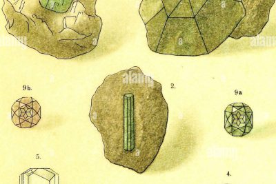 introduccion a alejandrina piedra