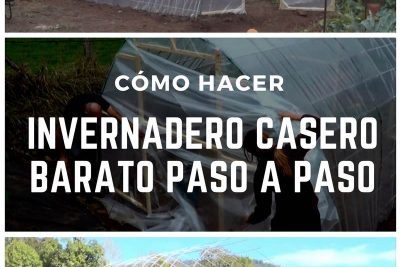 monta tu propio invernadero casero barato paso a paso en solo 100e
